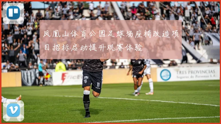 凤凰山体育公园足球场座椅改造项目招标启动提升观赛体验