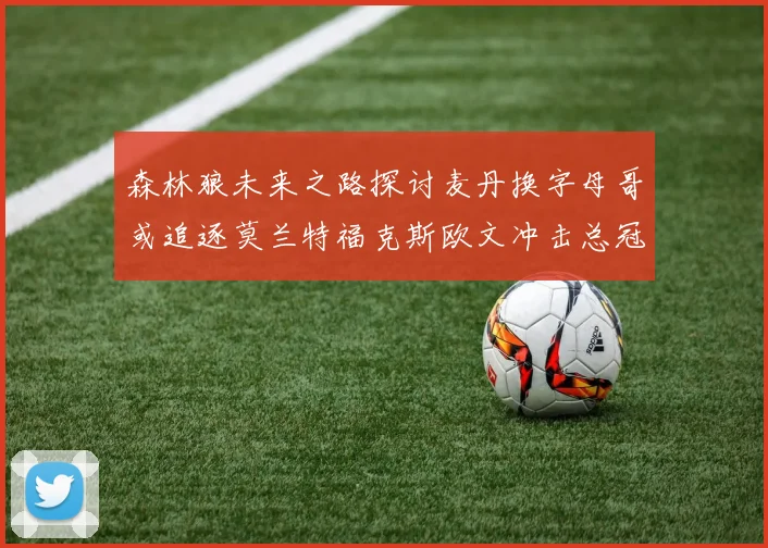 森林狼未来之路探讨麦丹换字母哥或追逐莫兰特福克斯欧文冲击总冠军